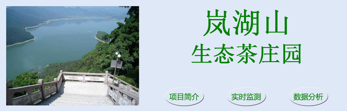 南湖山茶業(yè)